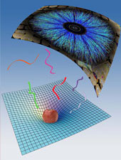 AdS/CFT ������������